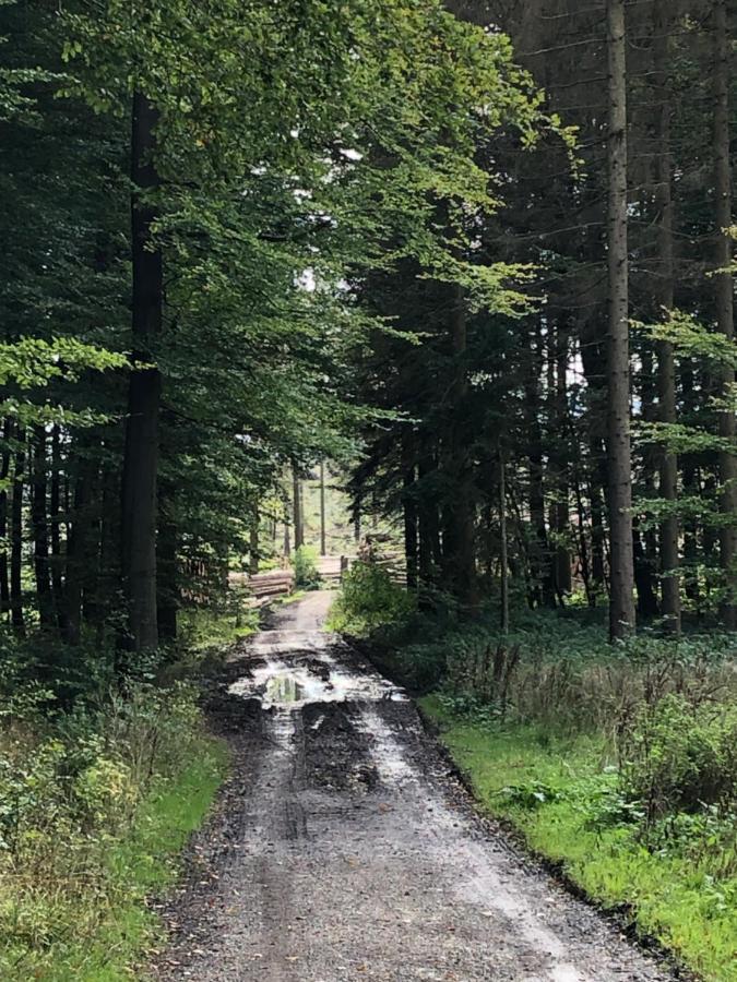 Am Eggegebirge * Bad Driburg